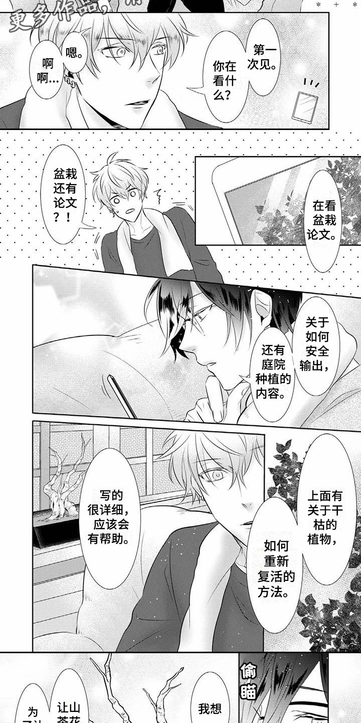 第11话：第11章：尝试预览分镜