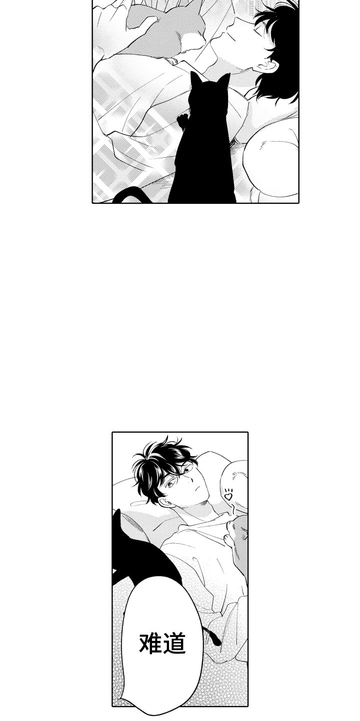 第7话：第7章：如影随形预览分镜