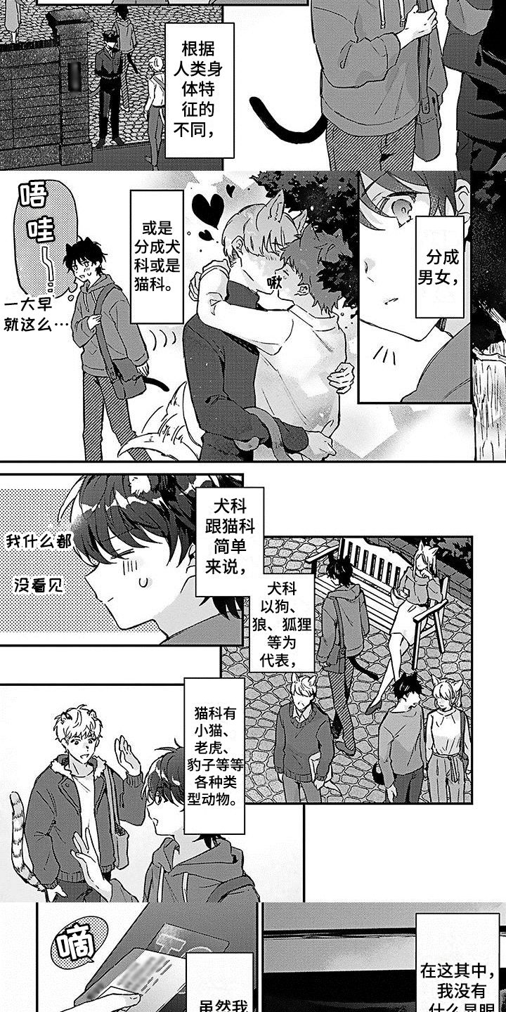 第1话：第1章：应聘预览分镜