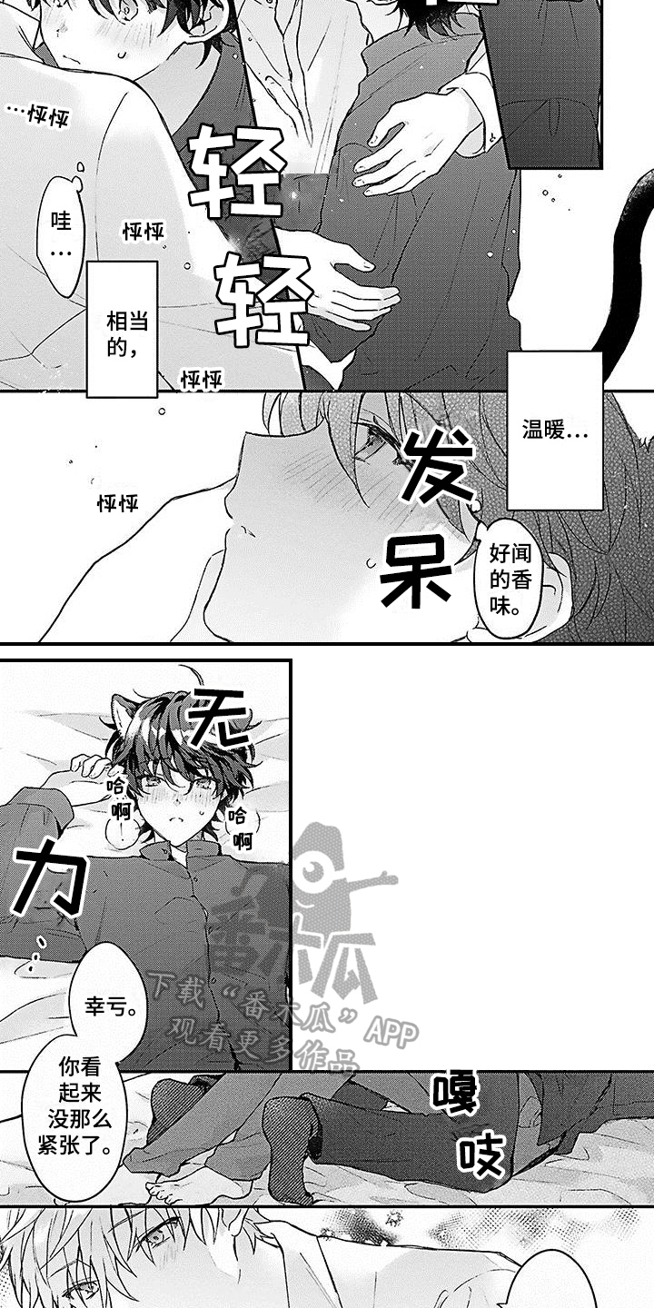 第5话：第5章：安定预览分镜