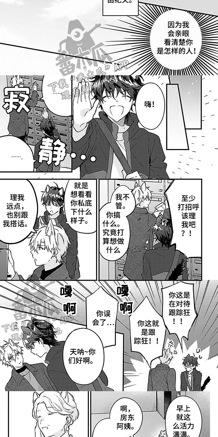 第9话：第9章：邻居预览分镜