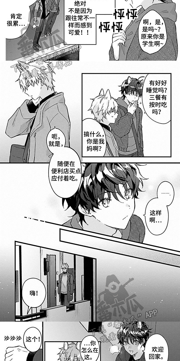 第10话：第10章：照顾预览分镜