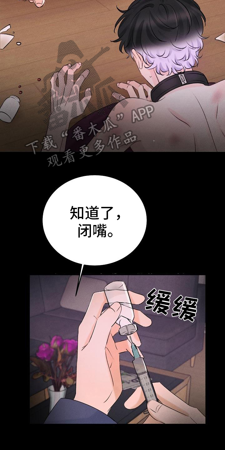 第15话：第15章：静养预览分镜