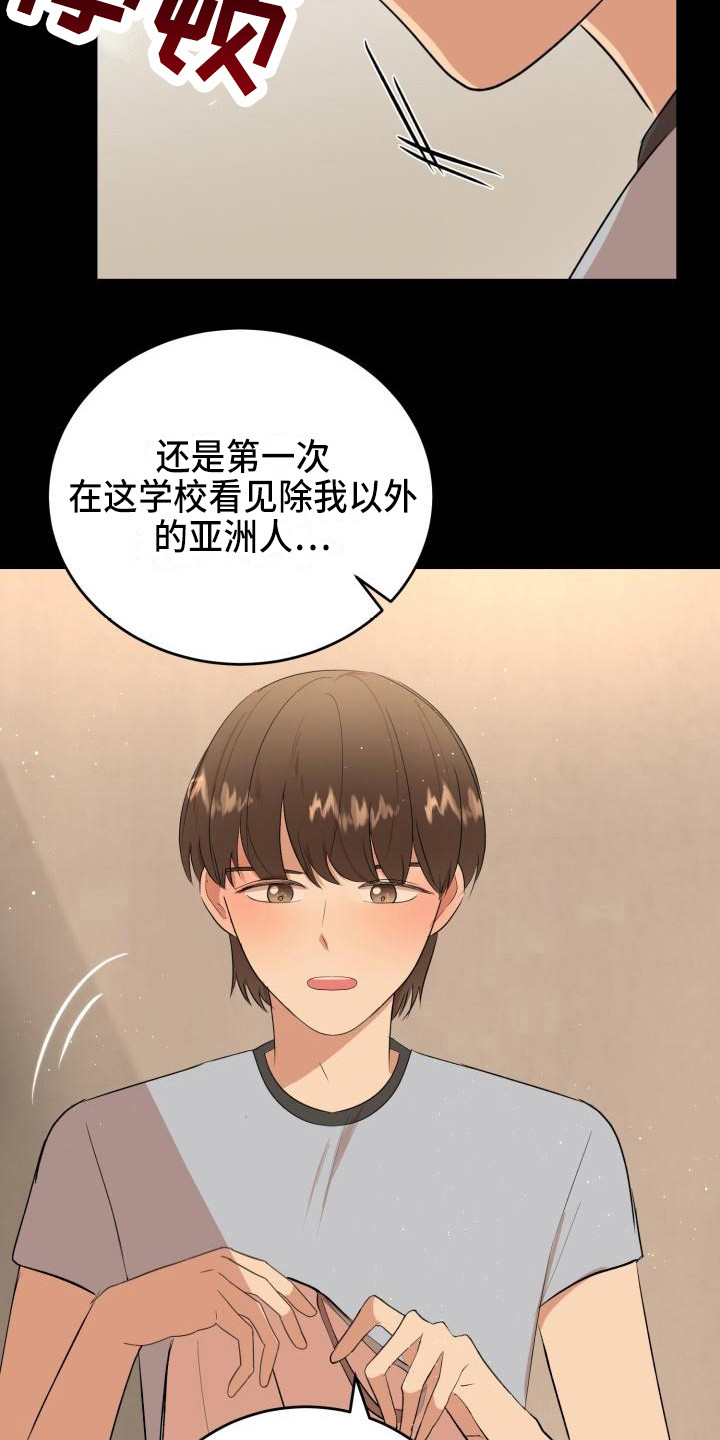 第18话：第18章：幸运宝石预览分镜