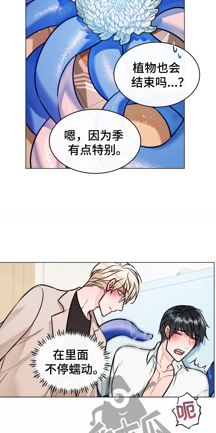 第4话：第4章：一起预览分镜