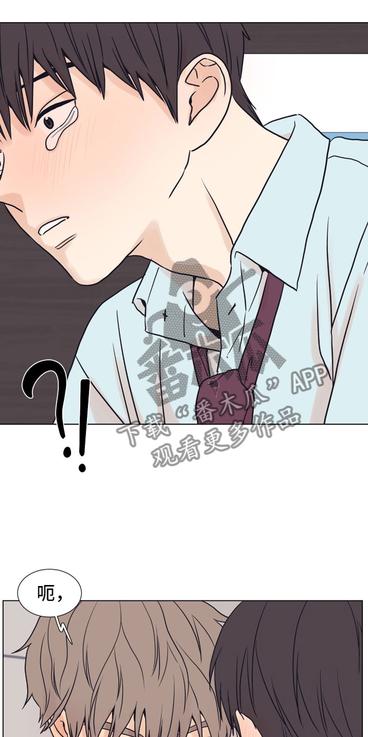 第7话：第7章：疯了预览分镜