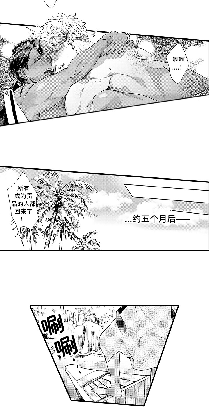第31章:归乡