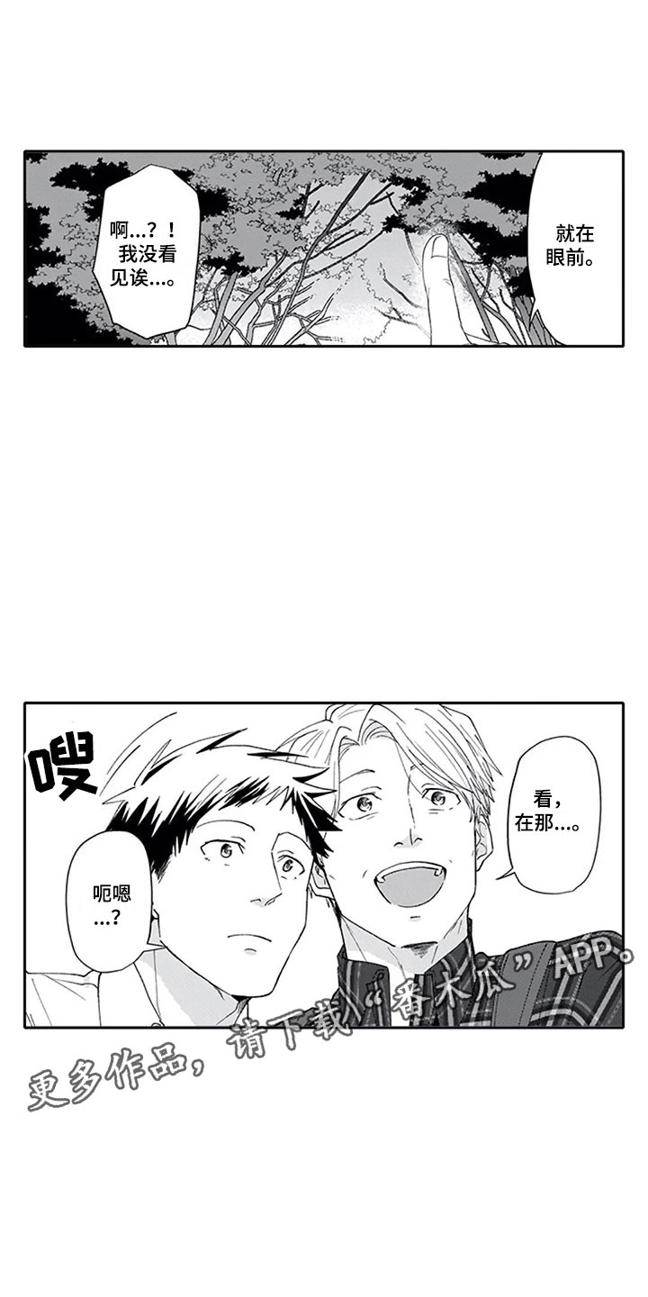 第7章:观察