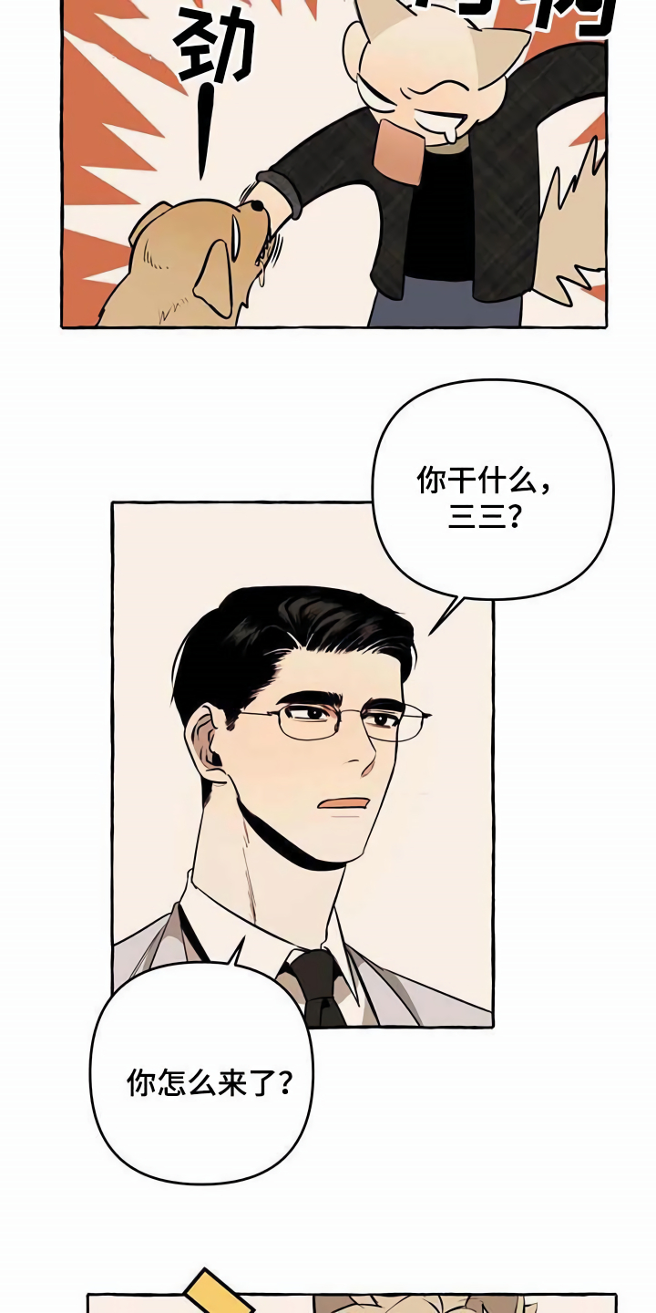 第11话：第11章：不老实预览分镜