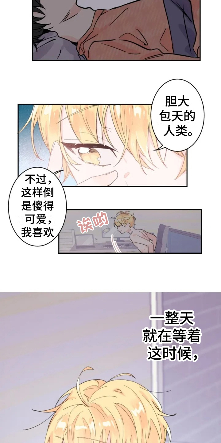 第3话：第3章：礼物预览分镜