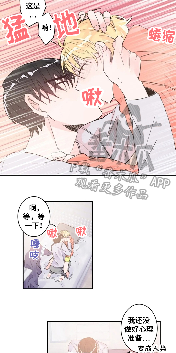 第11话：第11章：实感预览分镜
