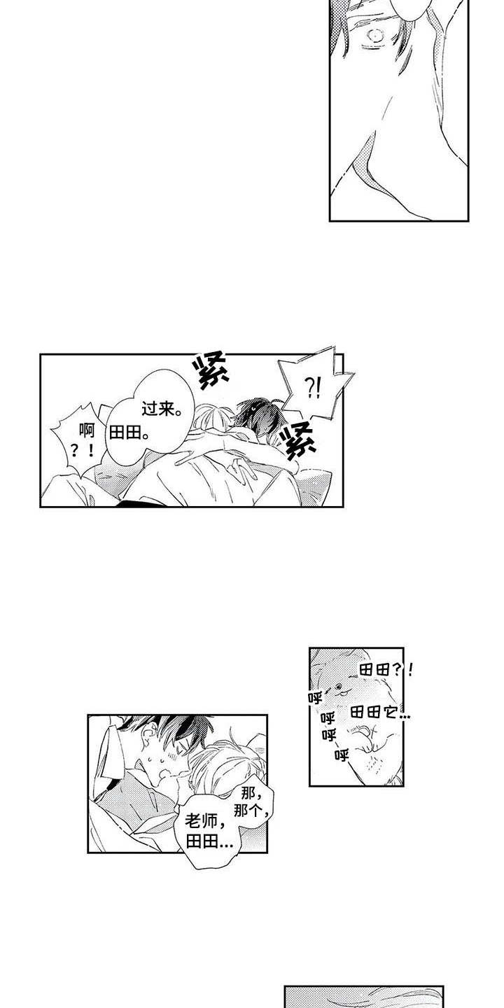 第3话：第3章：神奇的人预览分镜