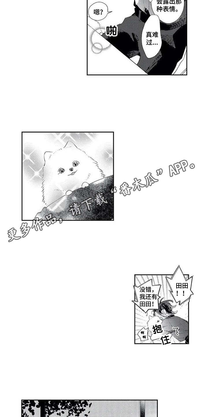 第14话：第14章：梦预览分镜