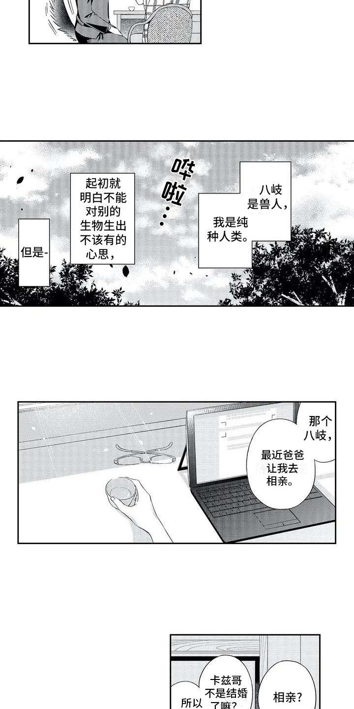 第2话：第2章：顺从预览分镜