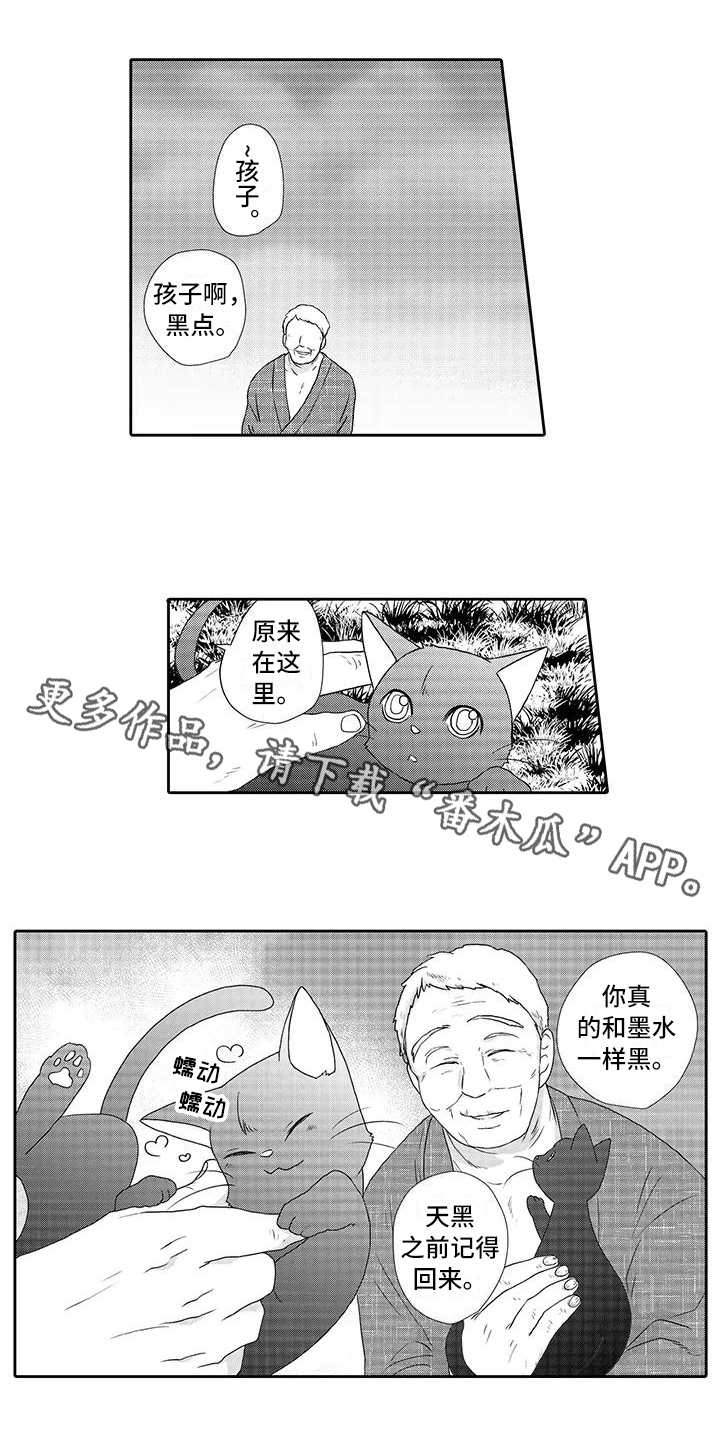 第4话：第4章：心情奇怪预览分镜