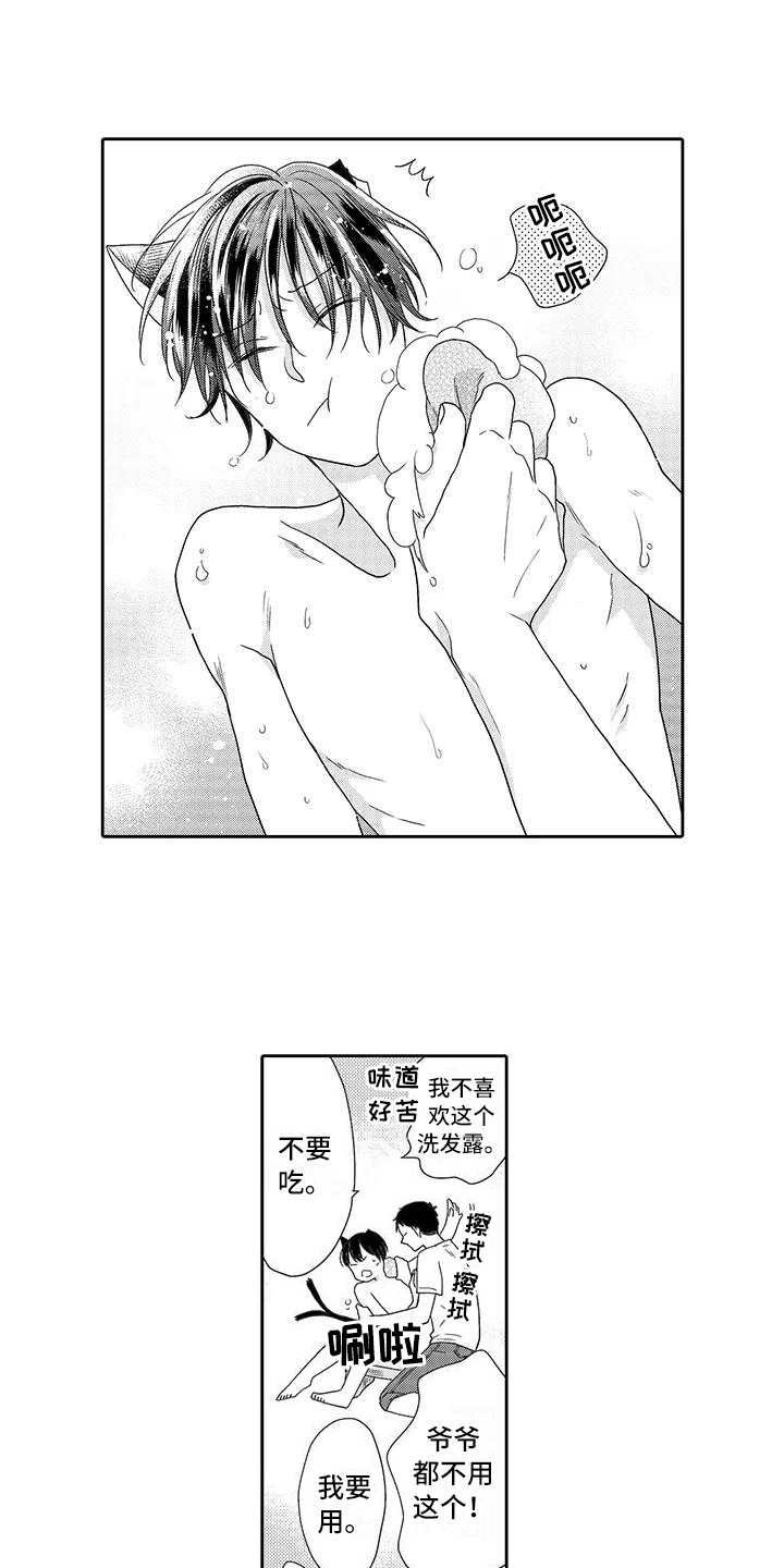 第7章:小精灵