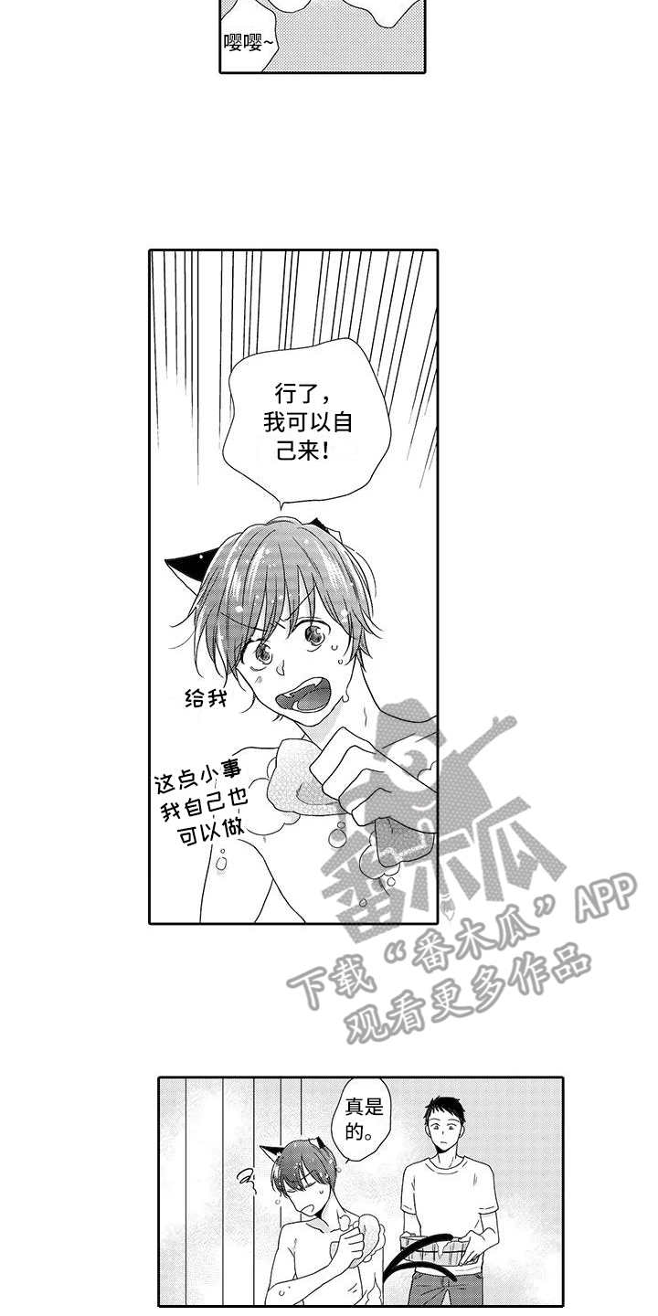 第7章:小精灵
