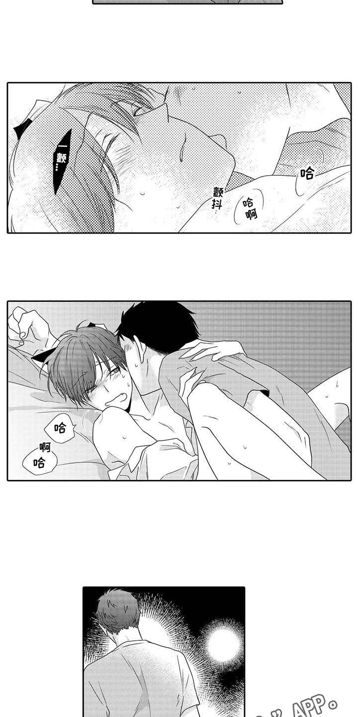 第15话：第15章：想保护你预览分镜