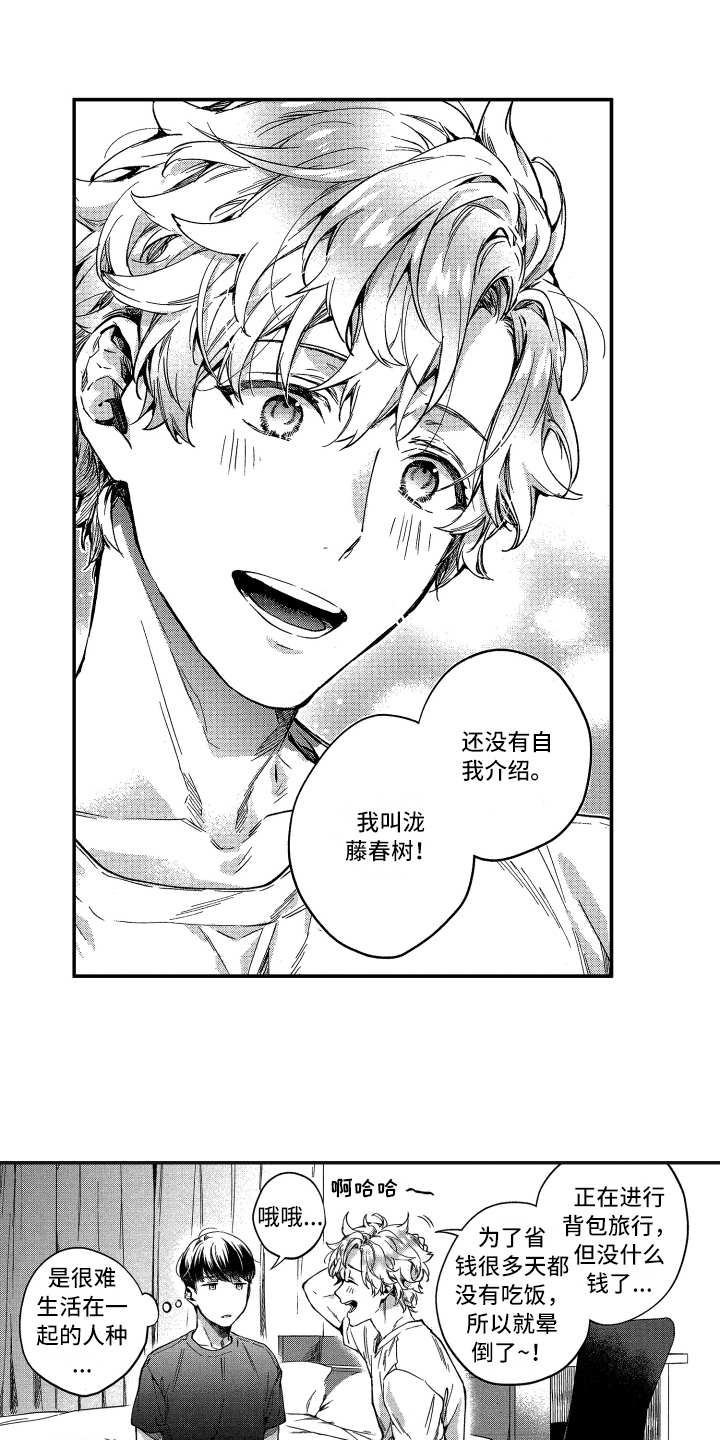第2话：第2章：收留预览分镜