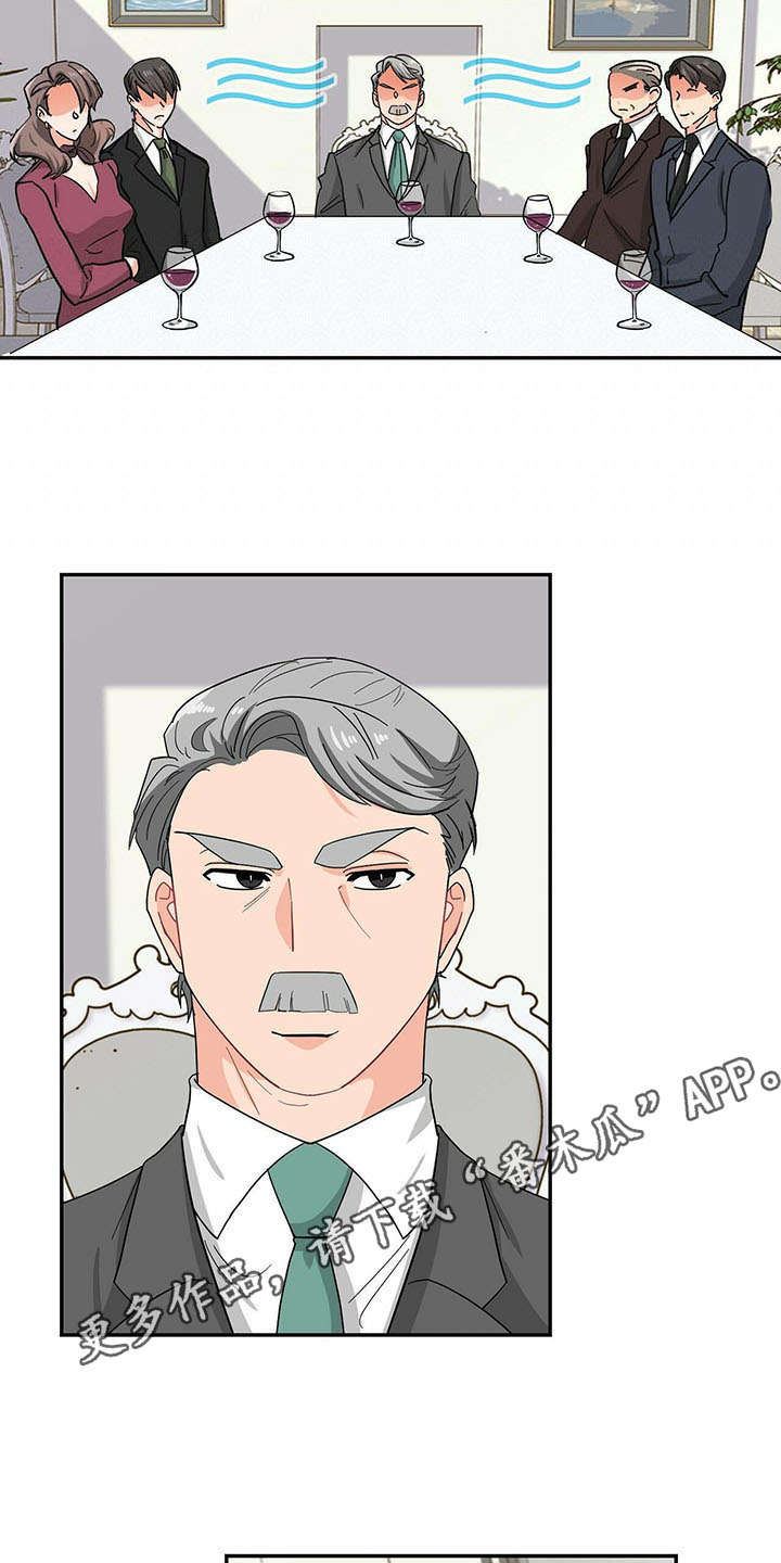 第13话：第13章：家族聚会预览分镜