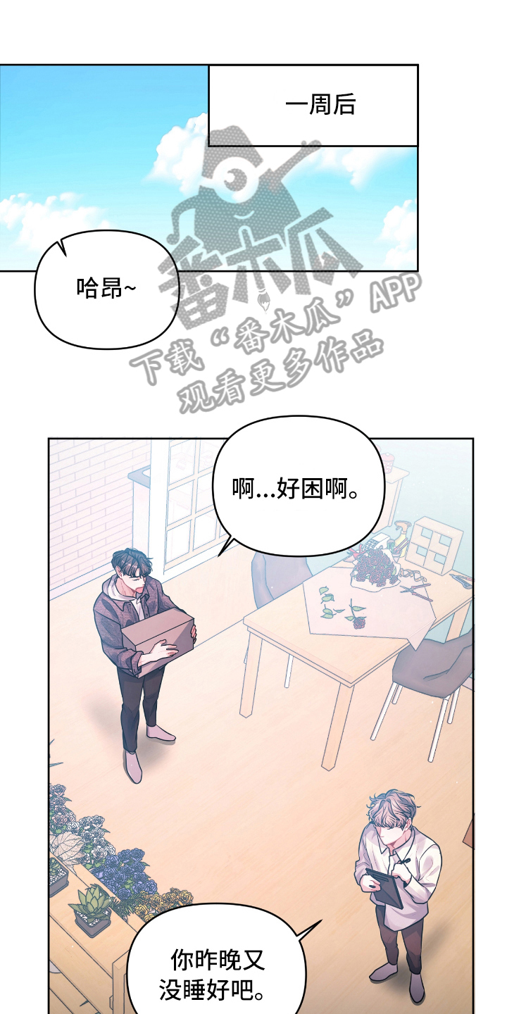 第7章:宣示