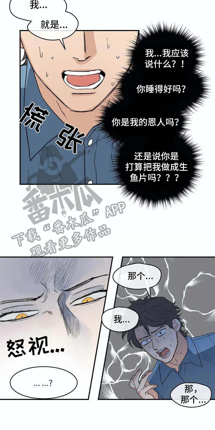 第5话：第5章：找到了预览分镜