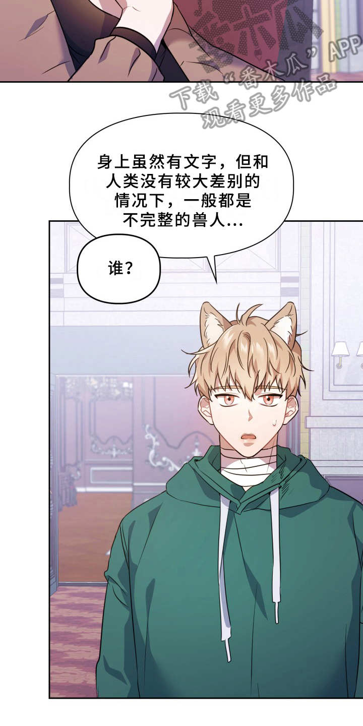 第11话：第11章：不适应预览分镜