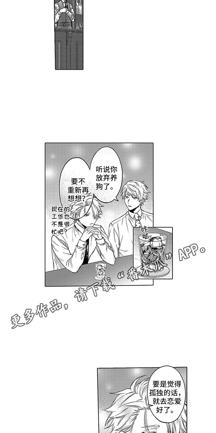 第11话：第11章：选中预览分镜