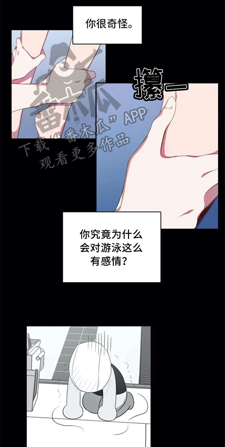 第6话：第6章：动静预览分镜