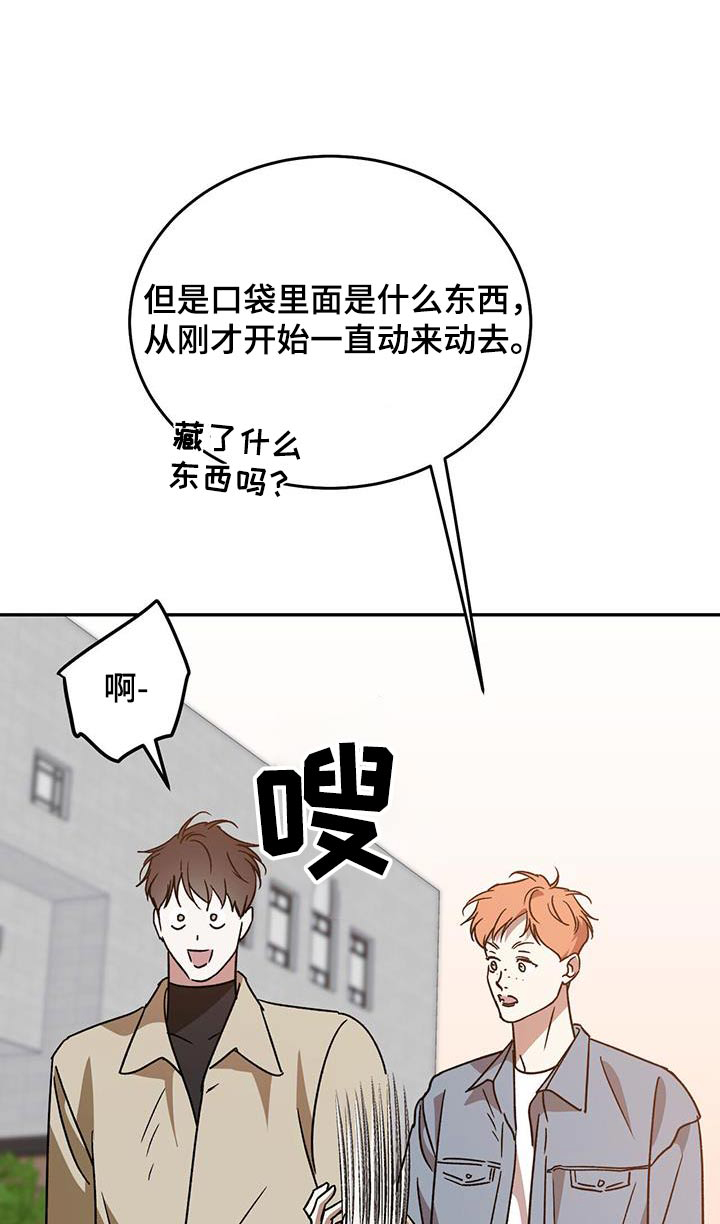 第132章:【番外】有名的王子