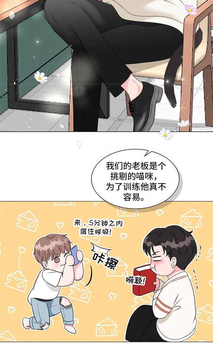 第11话：第11章：惊喜预览分镜