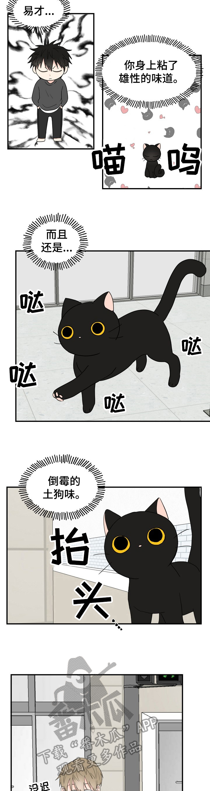 第4话：奇怪预览分镜