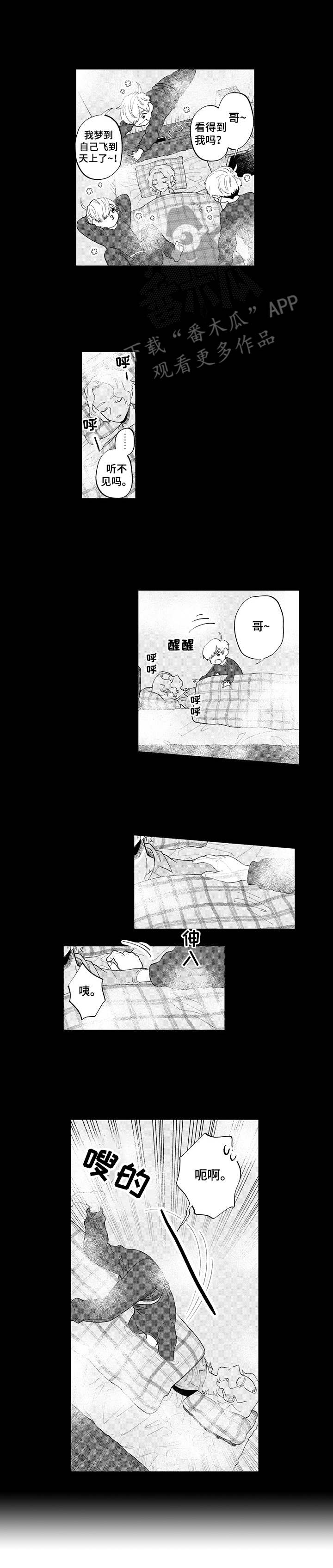 第8话：第8章：梦境预览分镜