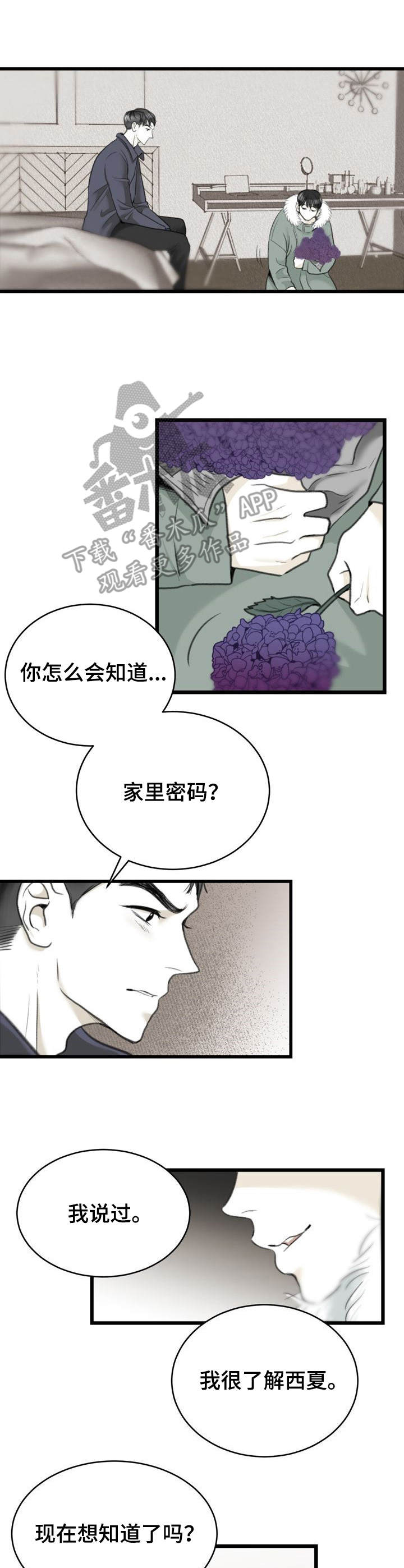 第4话：第4章：备胎预览分镜