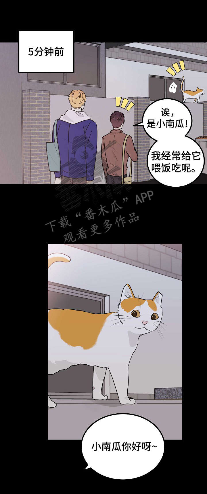 第13话：第13章：表白预览分镜