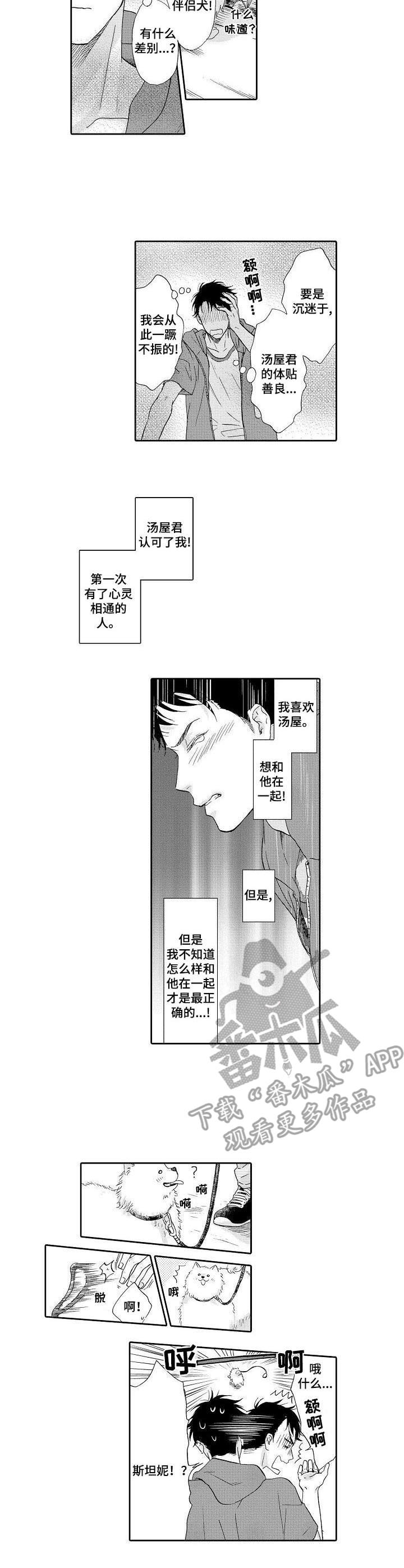 第12话：第12章：散步预览分镜