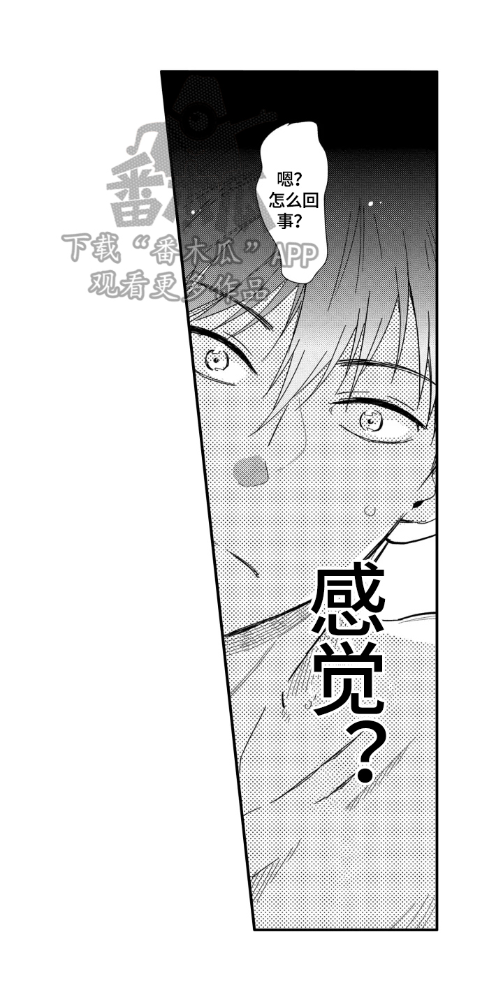 第5话：第5章：拍到了预览分镜