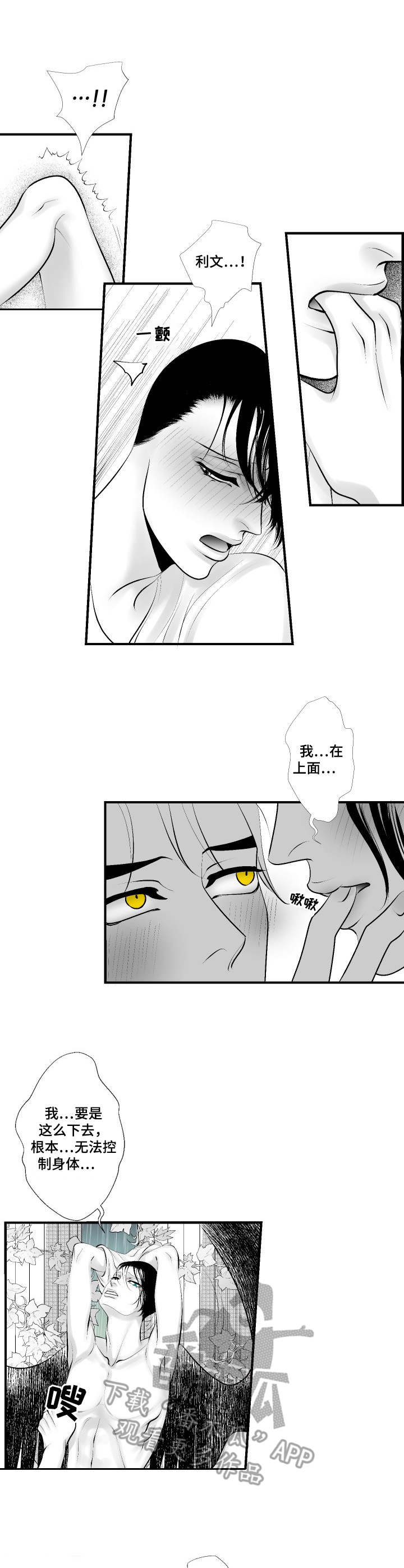 第28章:美满结局(完结)