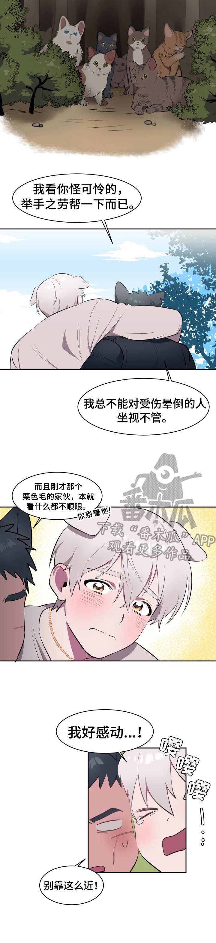 第2话：第2章：收留预览分镜