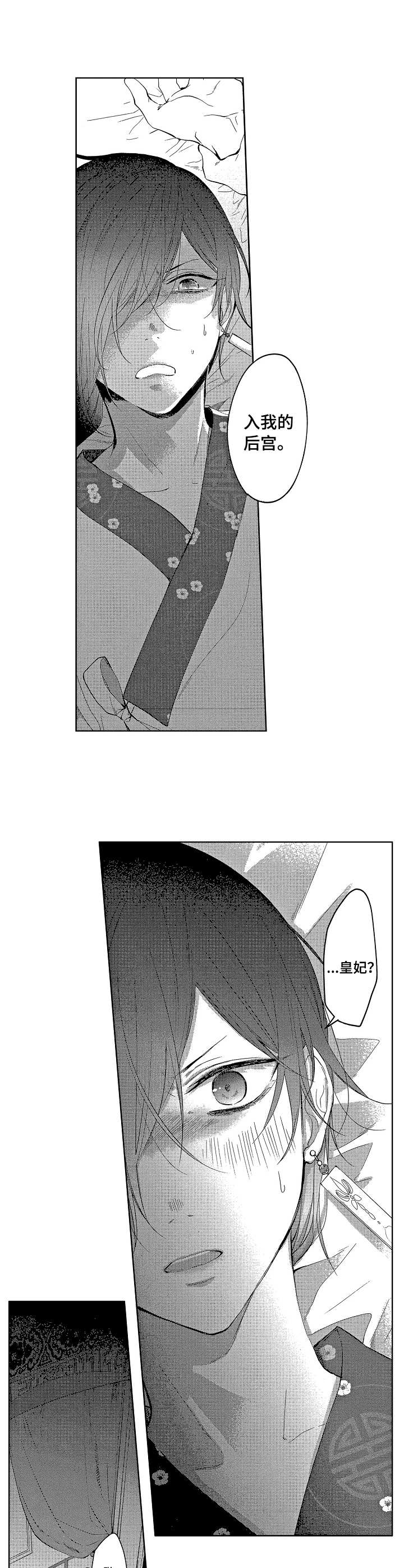 第6话：第6章：皇妃预览分镜