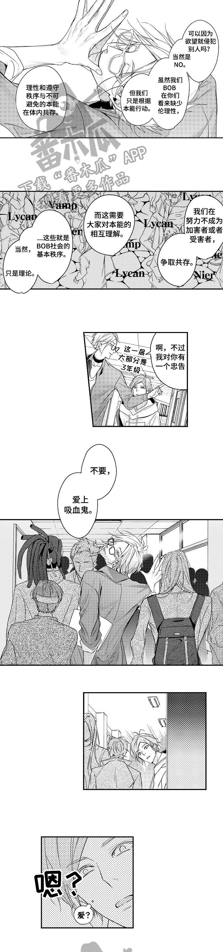 第4话：第4章：迷路预览分镜