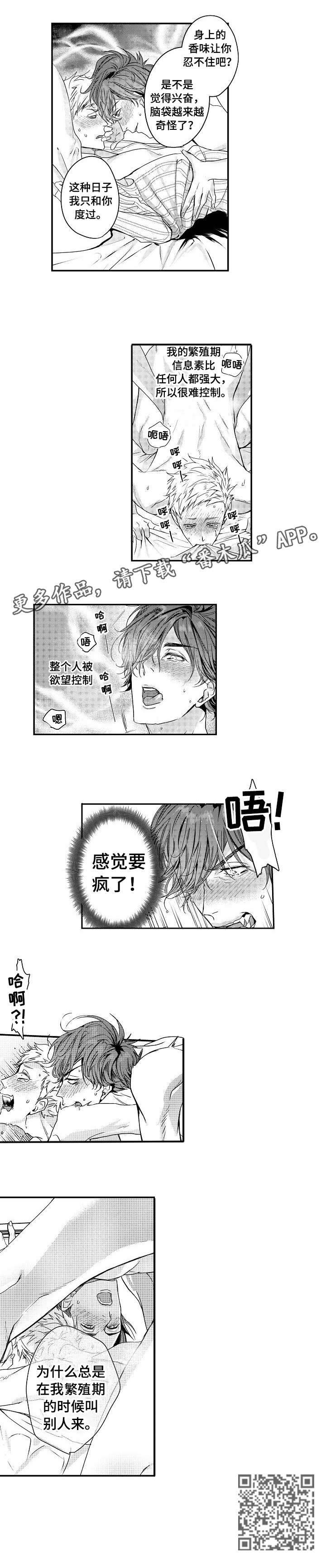 第15话：第15章：药预览分镜