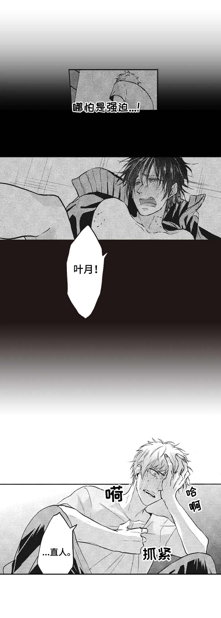 第8话：第8章：柔和的味道预览分镜
