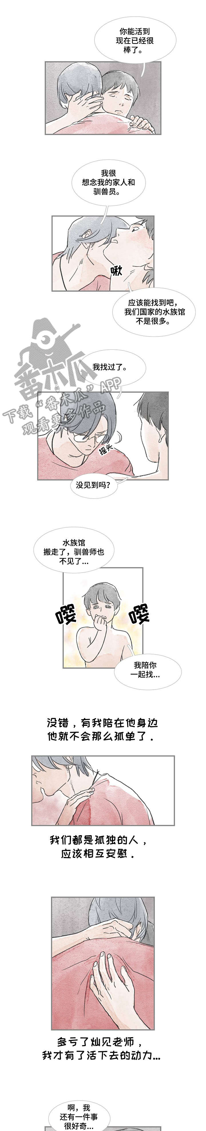 第17话：第17章：刚才预览分镜