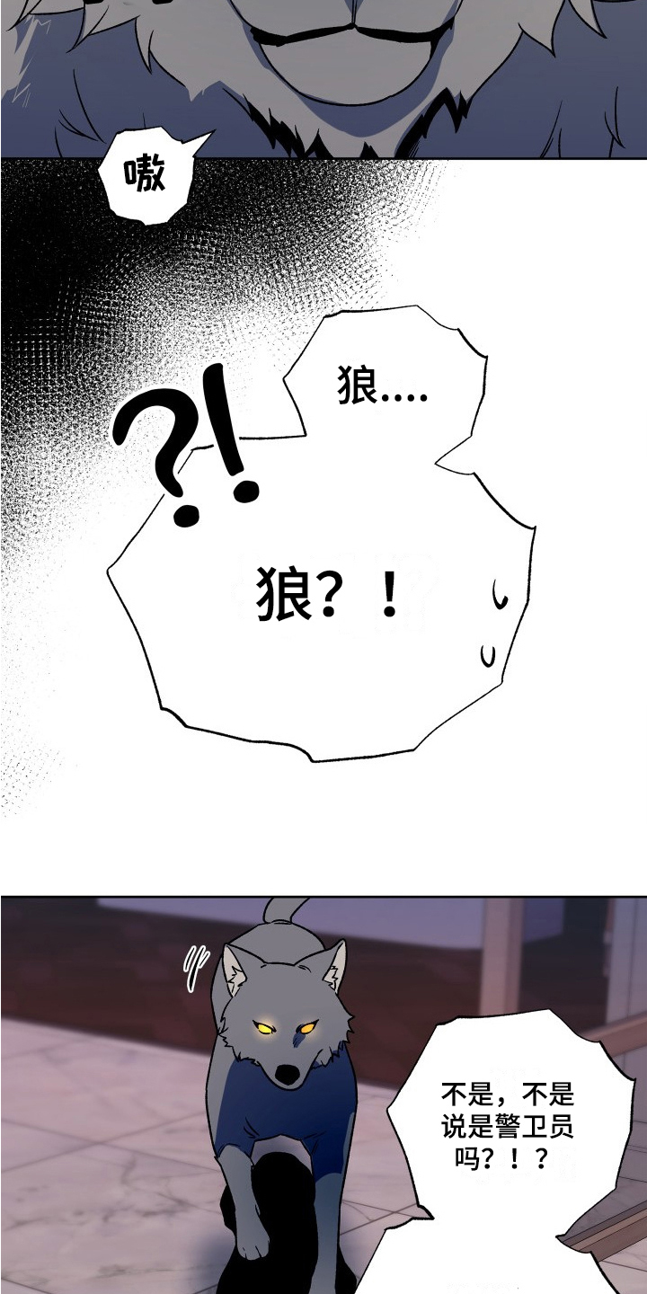 第3话：熟人预览分镜