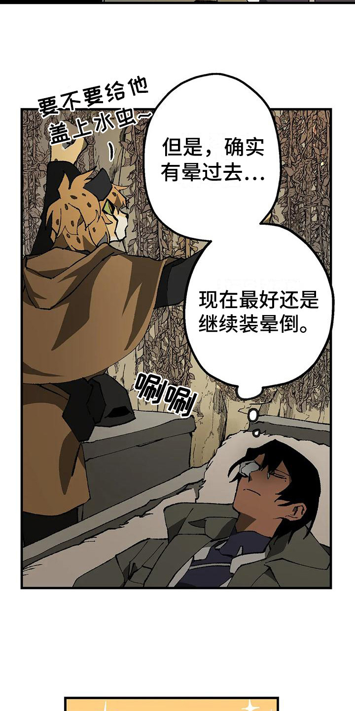 第11话：好奇预览分镜