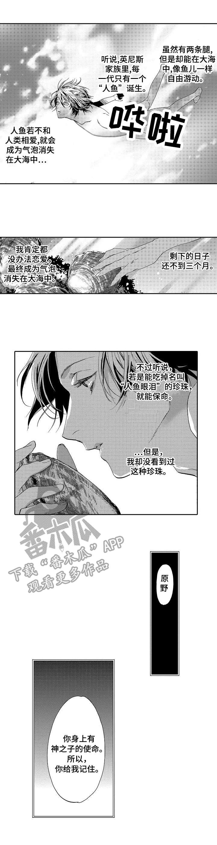 第4话：第4章：传说预览分镜