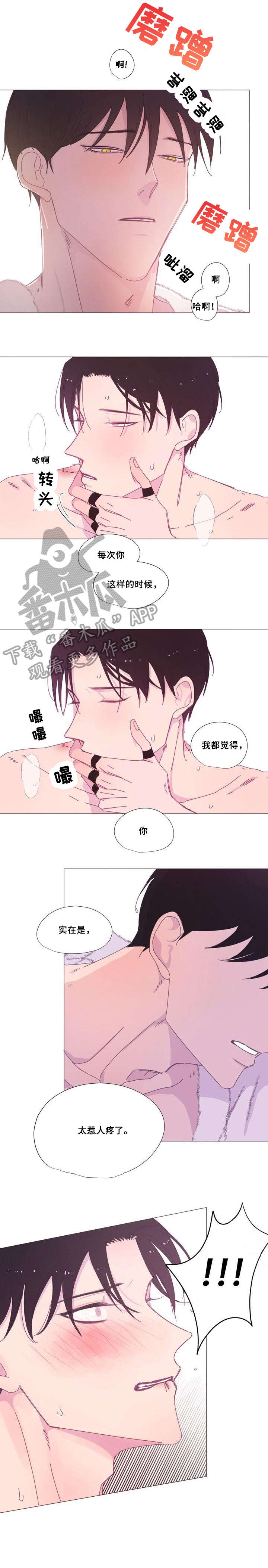 第15话：第15章：尽兴预览分镜