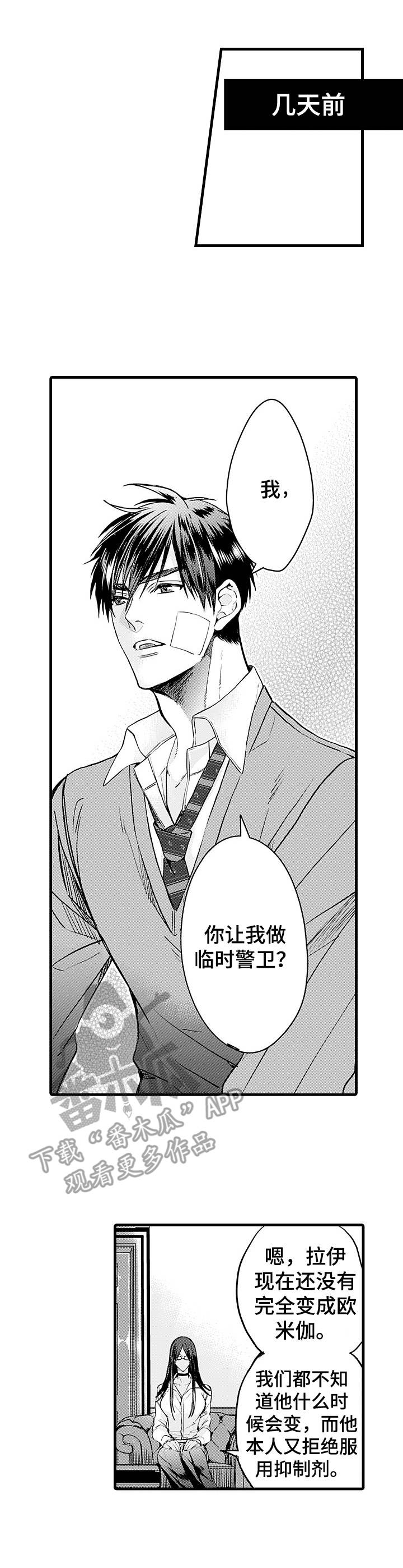 第8话：第8章：护卫预览分镜