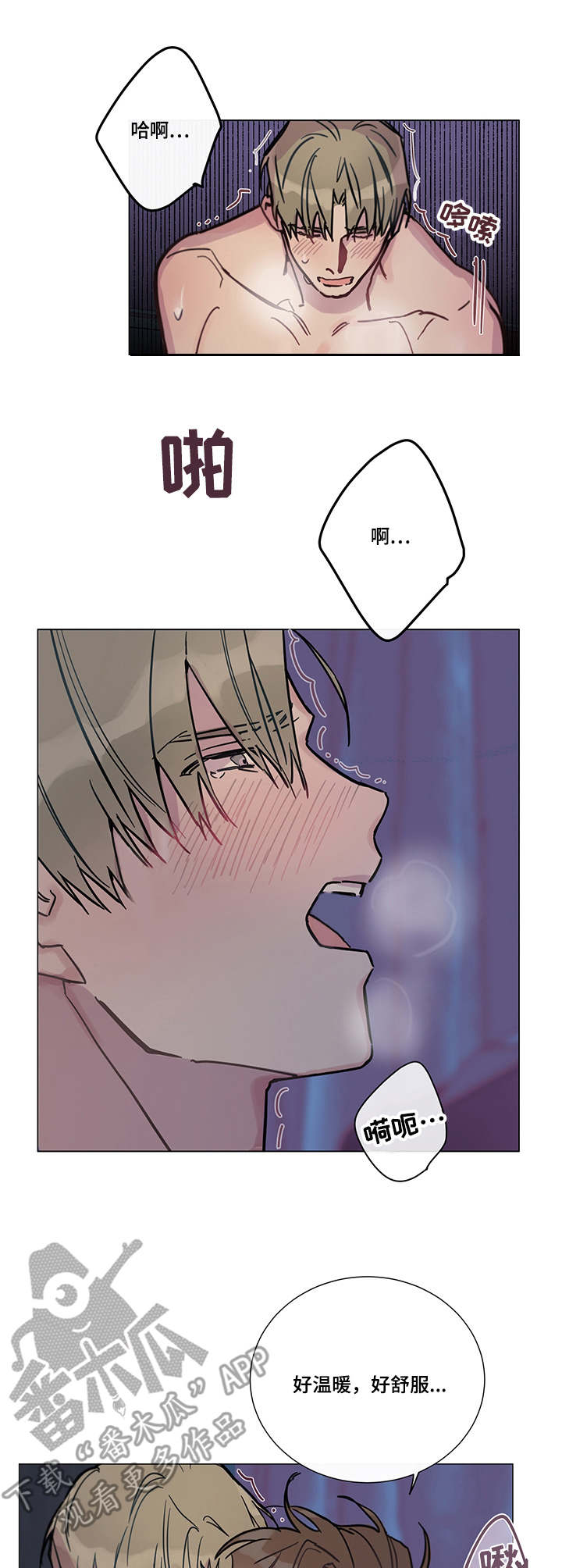 第8章:爱意(完结)